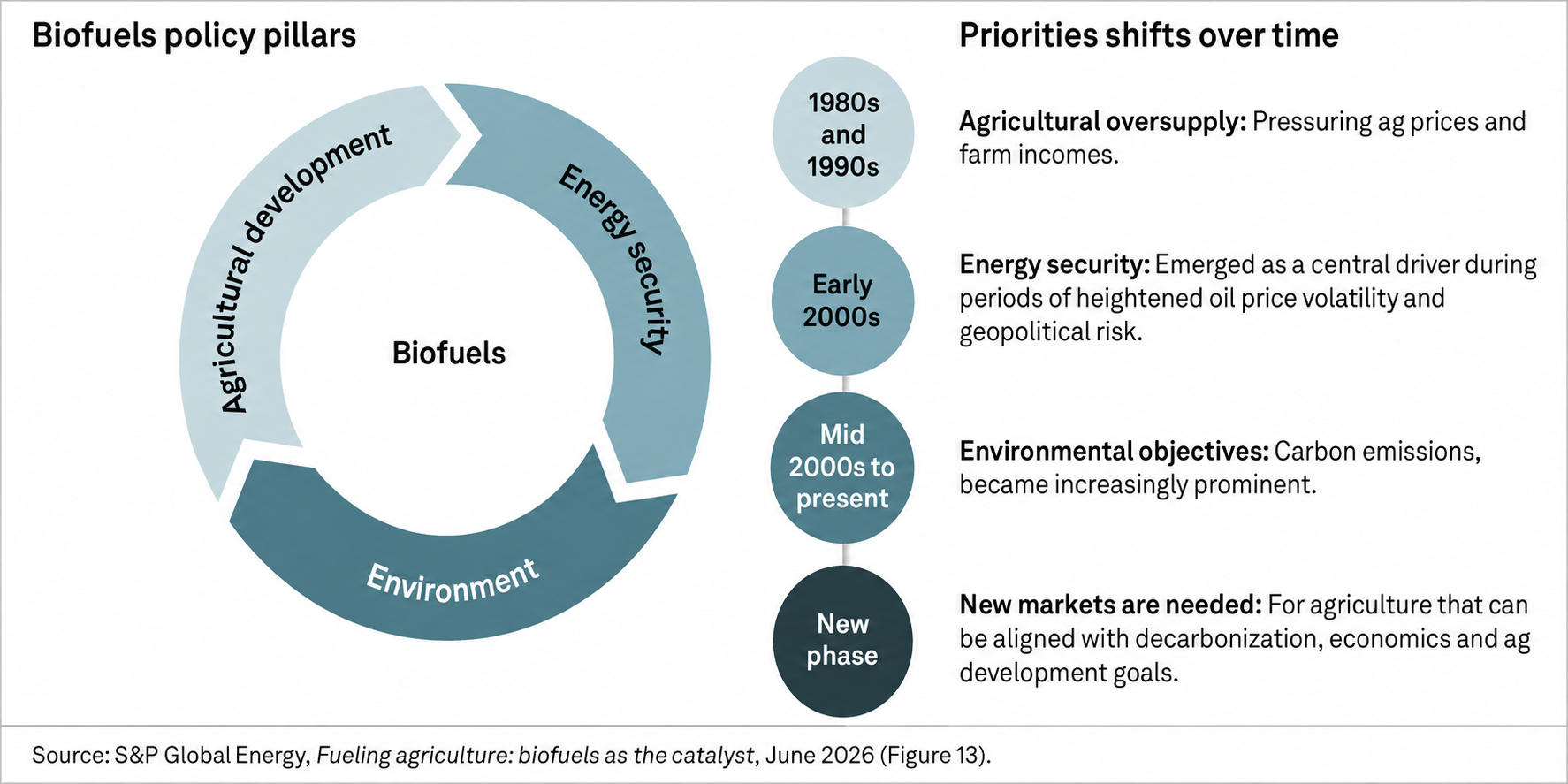 Evolution of biofuel policy priorities